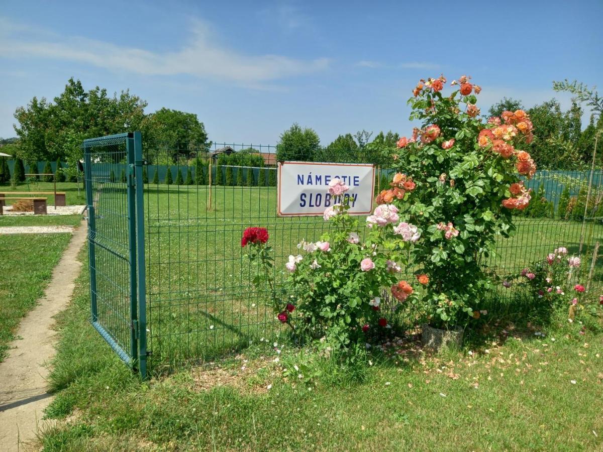 Flower Bike Štúrovo Exteriér fotografie